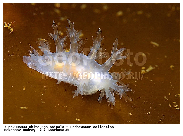 �������, �����������, �����������, �����������, �����������, ����� ����, ������������, ������������ �������, ����������, ����������, ����������, ��������� ���, ���������, �����������, �������, ������, ������ ����, ��������, ����, ������, ������, �����, ������, �������, ������������, ������������, ������, �������, ����� �������, ��������, ��������, ��������, ����� ����, ���������, ����, ����, �����, �����������, �����������, �����, ��������, �������, ��������, ������� �����, �������, �������, ������� �������, ��������, ����������, ���������, ��������� ����, ���������, �����, ����������, ���������� ��� ����, ���, ���������, ��������� �����������, ��������� ����������, ���������, ���������, ���������, ��������� ����������, ���������, ��������� �����, ��� �����, ��������, ��������, ��������, ����������, ������, ��������, ��������, ��������, ������, �������, ������, �������, ������������, ������������, �������� ����, ����������� ����, ����� ����, �����������, �����������, ����� ����, �������� ����, ����������� ����, ����� ����, �����������, �����������, ����� ����