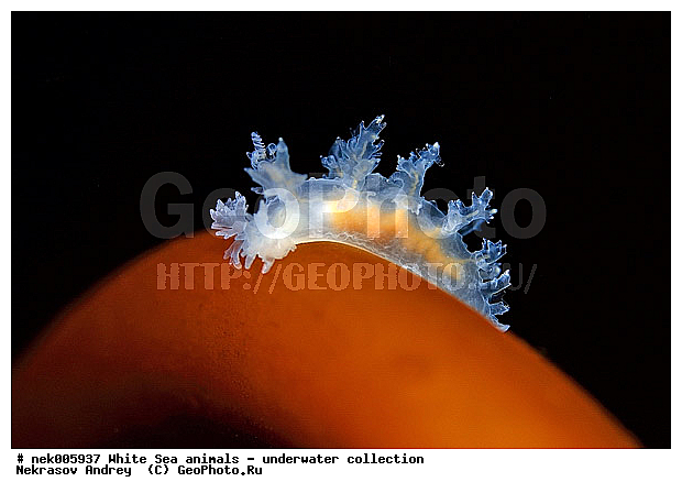 �������, �����������, �����������, �����������, �����������, ����� ����, ������������, ������������ �������, ����������, ����������, ����������, ��������� ���, ���������, �����������, �������, ������, ������ ����, ��������, ����, ������, ������, �����, ������, �������, ������������, ������������, ������, �������, ����� �������, ��������, ��������, ��������, ����� ����, ���������, ����, ����, �����, �����������, �����������, �����, ��������, �������, ��������, ������� �����, �������, �������, ������� �������, ��������, ����������, ���������, ��������� ����, ���������, �����, ����������, ���������� ��� ����, ���, ���������, ��������� �����������, ��������� ����������, ���������, ���������, ���������, ��������� ����������, ���������, ��������� �����, ��� �����, ��������, ��������, ��������, ����������, ������, ��������, ��������, ��������, ������, �������, ������, �������, ������������, ������������