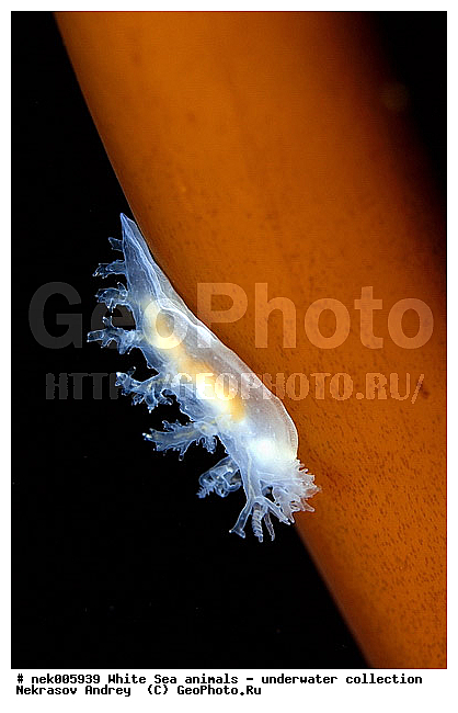 �������, �����������, �����������, �����������, �����������, ����� ����, ������������, ������������ �������, ����������, ����������, ����������, ��������� ���, ���������, �����������, �������, ������, ������ ����, ��������, ����, ������, ������, �����, ������, �������, ������������, ������������, ������, �������, ����� �������, ��������, ��������, ��������, ����� ����, ���������, ����, ����, �����, �����������, �����������, �����, ��������, �������, ��������, ������� �����, �������, �������, ������� �������, ��������, ����������, ���������, ��������� ����, ���������, �����, ����������, ���������� ��� ����, ���, ���������, ��������� �����������, ��������� ����������, ���������, ���������, ���������, ��������� ����������, ���������, ��������� �����, ��� �����, ��������, ��������, ��������, ����������, ������, ��������, ��������, ��������, ������, �������, ������, �������, ������������, ������������, �������� ����, ����������� ����, ����� ����, �����������, �����������, ����� ����, �������� ����, ����������� ����, ����� ����, �����������, �����������, ����� ����