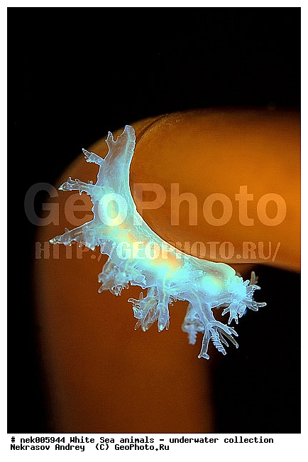 �������, �����������, �����������, �����������, �����������, ����� ����, ������������, ������������ �������, ����������, ����������, ����������, ��������� ���, ���������, �����������, �������, ������, ������ ����, ��������, ����, ������, ������, ������, �����, ������, �������, ������������, ������������, ������, �������, ����� �������, ��������, ��������, ��������, ����� ����, ���������, ����, ����, �����, �����������, �����������, �����, ��������, �������, �������. ��������, ��������, ������� �����, �������, �������, ������� �������, ��������, ����������, ���������, ��������� ����, ���������, �����, ����������, ���������� ��� ����, ���, ���������, ��������� �����������, ��������� ����������, ���������, ���������, ���������, ��������� ����������, ���������, ��������� �����, ��� �����, ��������, ��������, ����������, ������, ��������, ��������, ��������, ������, �������, ������, �������, ������������, ������������