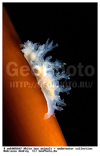 �������, �����������, �����������, �����������, �����������, ����� ����, ������������, ������������ �������, ����������, ����������, ����������, ��������� ���, ���������, �����������, �������, ������, ������ ����, ��������, ����, ������, ������, ������, �����, ������, �������, ������������, ������������, ������, �������, ����� �������, ��������, ��������, ��������, ����� ����, ���������, ����, ����, �����, �����������, �����������, �����, ��������, �������, ��������, ������� �����, �������, �������, ������� �������, ��������, ����������, ���������, ��������� ����, ���������, �����, ����������, ���������� ��� ����, ���, ���������, ��������� �����������, ��������� ����������, ���������, ���������, ���������, ��������� ����������, ���������, ��������� �����, ��� �����, ��������, ��������, ����������, ������, ��������, ��������, ��������, ������, �������, ������, �������, ������������, ������������, �������� ����, ����������� ����, ����� ����, �����������, �����������, ����� ����