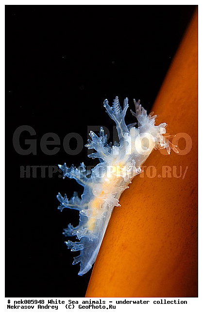 �������, �����������, �����������, �����������, �����������, ����� ����, ������������, ������������ �������, ����������, ����������, ����������, ��������� ���, ���������, �����������, �������, ������, ������ ����, ��������, ����, ������, ������, �����, ������, �������, ������������, ������������, ������, �������, ����� �������, ��������, ��������, ��������, ����� ����, ���������, ����, ����, �����, �����������, �����������, �����, ��������, �������, ��������, ������� �����, �������, �������, ������� �������, ��������, ����������, ���������, ��������� ����, ���������, �����, ����������, ���������� ��� ����, ���, ���������, ��������� �����������, ��������� ����������, ���������, ���������, ���������, ��������� ����������, ���������, ��������� �����, ��� �����, ��������, ��������, ��������, ����������, ������, ��������, ��������, ��������, ������, �������, ������, �������, ������������, ������������, �������� ����, ����������� ����, ����� ����, �����������, �����������, ����� ����, �������� ����, ����������� ����, ����� ����, �����������, �����������, ����� ����