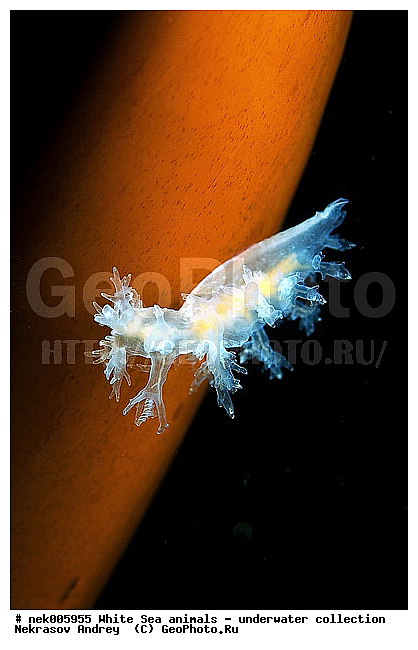 �������, �����������, �����������, �����������, �����������, ����� ����, ������������, ������������ �������, ����������, ����������, ����������, ��������� ���, ���������, �����������, �������, ������, ������ ����, ��������, ����, ������, ������, ������, �����, ������, �������, ������������, ������������, ������, �������, ����� �������, ��������, ��������, ��������, ����� ����, ���������, ����, ����, �����, �����������, �����������, �����, ��������, �������, �������. ��������, ��������, ������� �����, �������, �������, ������� �������, ��������, ����������, ���������, ��������� ����, ���������, �����, ����������, ���������� ��� ����, ���, ���������, ��������� �����������, ��������� ����������, ���������, ���������, ���������, ��������� ����������, ���������, ��������� �����, ��� �����, ��������, ��������, ����������, ������, ��������, ��������, ��������, ������, �������, ������, �������, ������������, ������������, �������� ����, ����������� ����, ����� ����, �����������, �����������, ����� ����, �������� ����, ����������� ����, ����� ����, �����������, �����������, ����� ����