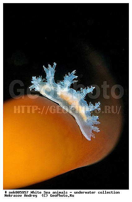 �������, �����������, �����������, �����������, �����������, ����� ����, ������������, ������������ �������, ����������, ����������, ����������, ��������� ���, ���������, �����������, �������, ������, ������ ����, ��������, ����, ������, ������, ������, �����, ������, �������, ������������, ������������, ������, �������, ����� �������, ��������, ��������, ��������, ����� ����, ���������, ����, ����, �����, �����������, �����������, �����, ��������, �������, ��������, ������� �����, �������, �������, ������� �������, ��������, ����������, ���������, ��������� ����, ���������, �����, ����������, ���������� ��� ����, ���, ���������, ��������� �����������, ��������� ����������, ���������, ���������, ���������, ��������� ����������, ���������, ��������� �����, ��� �����, ��������, ��������, ����������, ������, ��������, ��������, ��������, ������, �������, ������, �������, ������������, ������������, �������� ����, ����������� ����, ����� ����, �����������, �����������, ����� ����, �������� ����, ����������� ����, ����� ����, �����������, �����������, ����� ����