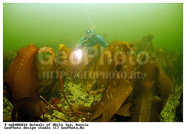 �������, �����������, �����������, �����������, �����������, ����� ����, ����������, ����������, ����������, �������, ��������� ���, �������� ����, ������, �����������, �������, ������, ������ ����, ��������, ����, ������, ������, ������, �����, ������, �������, ������, �������, ����� �������, ��������, ��������, ����� ����, ���������, ����, ����, ������� �����, �������, �������, ���������, ��������� ����, ���������, �����, ����������, ���������� ��� ����, ���, ���������, ��������� ����������, ���������, ���������, ���������, ��������� ����������, ���������, ��������� �����, ��� �����, ��������, ��������, ����������, ������, ��������, ��������, ��������, ������, �������� ����, ����������� ����, ����� ����, �����������, �����������, ����� ����