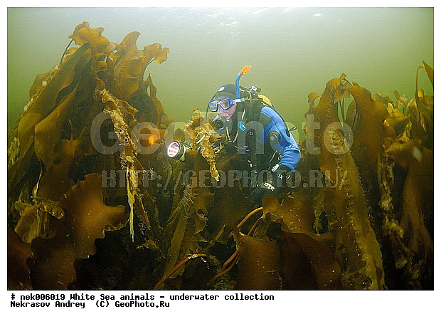 �������, �����������, �����������, �����������, �����������, ����� ����, ����������, ����������, ����������, ��������� ���, �����������, �������, ������, ������ ����, ��������, ����, ������, ������, ������, �����, ������, �������, ������, �������, ����� �������, ��������, ��������, ����� ����, ���������, ����, ����, ������� �����, �������, �������, ���������, ��������� ����, ���������, �����, ����������, ���������� ��� ����, ���, ���������, ��������� ����������, ���������, ���������, ���������, ��������� ����������, ���������, ��������� �����, ��� �����, ��������, ��������, ����������, ������, ��������, ��������, ��������, ������, ������� � ��������� ���, ������� � �������