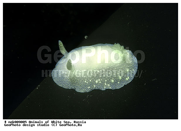 �������, �����������, �����������, �����������, �����������, ����� ����, ������������, ������������ �������, ����������, ����������, ����������, �������, ��������� ���, �������� ����, ������, ���������, �����������, �������, ������, ������ ����, ��������, ����, ������, ������, �����, ������, �������, ������������, ������������, ������, �������, ����� �������, ��������, ��������, ��������, ����� ����, ���������, ����, ����, �����, �����������, �����������, �����, ��������, �������, �������. ��������, ��������, ������� �����, �������, �������, ������� �������, ��������, ����������, ���������, ��������� ����, ���������, �����, ����������, ���������� ��� ����, ���, ���������, ��������� �����������, ��������� ����������, ���������, ���������, ���������, ��������� ����������, ���������, ��������� �����, ��� �����, ��������, ��������, ��������, ����������, ������, ��������, ��������, ��������, ������, �������, ������, �������, ������������, ������������, �������� ����, ����������� ����, ����� ����, �����������, �����������, ����� ����