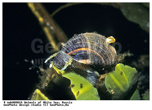 �������, �����������, �����������, �����������, �����������, ����� ����, ����������, ����������, ����������, �������, ��������� ���, �������� ����, ������, ���������, �����������, �������, ������, ������ ����, ��������, ����, ������, ������, ������, �����, ������, �������, ������, �������, ����� �������, ��������, ��������, ��������, ����� ����, ���������, ����, ����, �����, �����������, �����������, �����, ��������, �������, ��������, ������� �����, �������, �������, ��������, ����������, ���������, ��������� ����, ���������, �����, ����������, ���������� ��� ����, ���, ���������, ��������� �����������, ��������� ����������, ���������, ���������, ���������, ��������� ����������, ���������, ��������� �����, ��� �����, ��������, ��������, ����������, ������, ��������, ��������, ��������, ������, ������������, ������������, �������� ����, ����������� ����, ����� ����, �����������, �����������, ����� ����