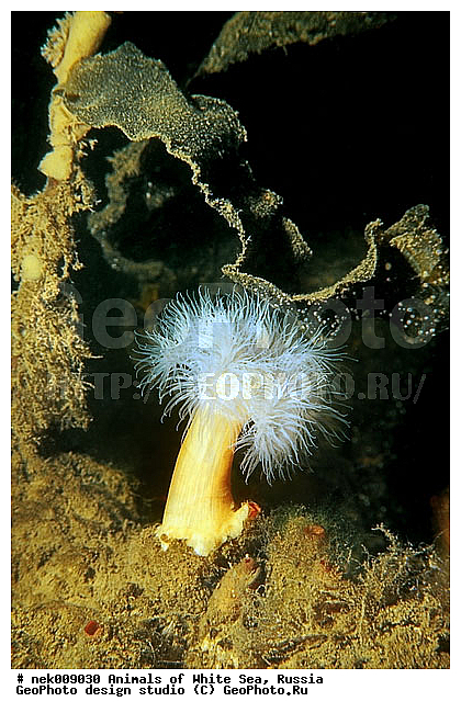 �������, �����������, �����������, �����������, �����������, ����� ����, ����������, ����������, ����������, �������, ��������� ���, �������� ����, ������, �����������, �������, ������, ������ ����, ��������, ����, ������, ������, ������, �����, ������, �������, ������, �������, ����� �������, ��������, ��������, ����� ����, ���������, ����, ����, ������� �����, �������, �������, ���������, ��������� ����, ���������, �����, ����������, ���������� ��� ����, ���, ���������, ��������� ����������, ���������, ���������, ���������, ��������� ����������, ���������, ��������� �����, ��� �����, ��������, ��������, ����������, ������, ��������, ��������, ��������, ������, �������, �������, ������, �������, �������� ����, ����������� ����, ����� ����, �����������, �����������, ����� ����