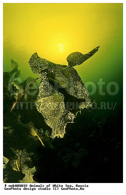 �������, �����������, �����������, �����������, �����������, ����� ����, ����������, ����������, ����������, �������, ��������� ���, �������� ����, ������, �����������, �������, ������, ������ ����, ��������, ����, ������, ������, ������, �����, ������, �������, ������, �������, ����� �������, ��������, ��������, ����� ����, ���������, ����, ����, ������� �����, �������, �������, ���������, ��������� ����, ���������, �����, ����������, ���������� ��� ����, ���, ���������, ��������� ����������, ���������, ���������, ���������, ��������� ����������, ���������, ��������� �����, ��� �����, ��������, ��������, ����������, ������, ��������, ��������, ��������, ������, �������� ����, ����������� ����, ����� ����, �����������, �����������, ����� ����