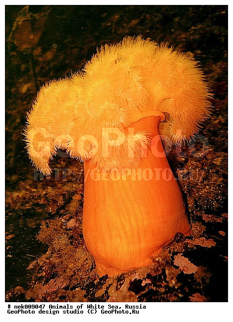 �������, �����������, �����������, �����������, �����������, ����� ����, ����������, ����������, ����������, �������, ��������� ���, �������� ����, ������, �����������, �������, ������, ������ ����, ��������, ����, ������, ������, ������, �����, ������, �������, ������, �������, ����� �������, ��������, ��������, ����� ����, ���������, ����, ����, ������� �����, �������, �������, ���������, ��������� ����, ���������, �����, ����������, ���������� ��� ����, ���, ���������, ��������� ����������, ���������, ���������, ���������, ��������� ����������, ���������, ��������� �����, ��� �����, ��������, ��������, ����������, ������, ��������, ��������, ��������, ������, �������, �������, ������, �������, �������� ����, ����������� ����, ����� ����, �����������, �����������, ����� ����