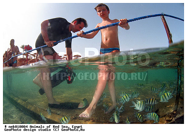 ������� ����, ��������� ���, ���� ��� ����, �����������, ������, ��������, ����, ������, ������, ������, �����, ������, �������, ������, �������, ����, ���, ����� �������, ��������, ��������, ����� ����, ����, ����������, ����������, ����������, �������, ����, �������, ������� �����, �������, �������, ���������, ��������� ����, ���������, �����, ������������, ������������, ���������, ����������, ���������� ��� ����, ���, ���������, ��������� ����������, ���������, ���������, ���������, ��������� ����������, ���������, ��������� �����, ��� �����, ����������, �������, �������, �������, �������, ����, ����, ����, �����, ��������, ��������, �������, �����������, �����������, �����������