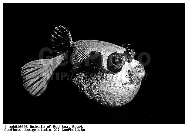 ������� ����, ��������� ���, ���� ��� ����, �����������, ������, ��������, �����, ����, ������, ������, ������, �����, ����������������, ������, �������, ������, �������, ���������, ������������, ����� �������, ��������, ��������, ����� ����, ����, ����������, ����������, ����������, �������, �����, ����, �������, ������� �����, �������, �������, ������������, ������������, ���������, ��������� ����, ���������, �����, ������������, ������������, ���������, �������, ������, �������, ����������, ���������� ��� ����, ���, ���������, ��������� ����������, ���������, ���������, ���������, ��������� ����������, ���������, ��������� �����, ��� �����, ����������, �������, �������, �������, ����, ����, ������, ����, ��������, ��������, �������, �����������, �����������, �����������, ��������, ��������, ��������, ��������