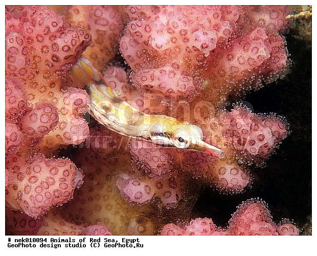 ������� ����, ����� ����, ��������� ���, �����������, ������, ��������, ����, ������, ������, ������, �����, ������, �������, ������, �������, ����� �������, ��������, ��������, ����� ����, ����, ����������, ����������, ����������, �������, ����, �����, �����������, �����, ��������, �������, ������� �����, �������, �������, ���������, ��������� ����, ���������, �����, ������������, ������������, ���������, ����������, ���������� ��� ����, ���, ���������, ��������� �����������, ��������� ����������, ���������, ���������, ���������, ��������� ����������, ���������, ��������� �����, ��� �����, ����������, �������, �������, �������, ����, ����, ����, ��������, ��������, �������, �����������, �����������, �����������