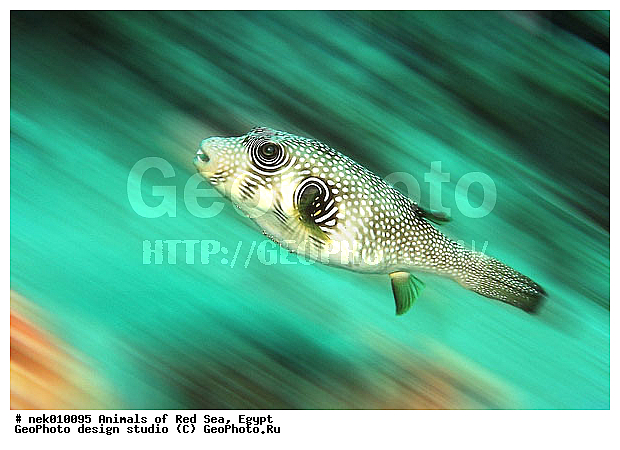 ������� ����, ��������� ���, ���� ��� ����, �����������, ������, ��������, �����, ����, ������, ������, �����, ����������������, ������, �������, ������, �������, ���������, ������������, ����� �������, ��������, ��������, ����� ����, ����, ����������, ����������, ����������, �������, �����, ����, �������, ������� �����, �������, �������, ������������, ������������, ���������, ��������� ����, ���������, �����, ������������, ������������, ���������, �������, ������, �������, ����������, ���������� ��� ����, ���, ���������, ��������� ����������, ���������, ���������, ���������, ��������� ����������, ���������, ��������� �����, ��� �����, ��������, ����������, �������, �������, �������, ����, ����, ������, ����, ��������, ��������, �������, �����������, �����������, �����������, ��������, ��������, ��������, ��������