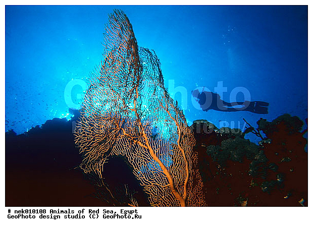 ������� ����, ��������� ���, ���� ��� ����, �����������, ������, ��������, ����, ������, ������, ������, �����, ������, �������, ������, �������, ����� �������, ��������, ��������, ����� ����, ����, ����������, ����������, ����������, �������, ����, �������, ������� �����, �������, �������, ���������, ��������� ����, ���������, �����, ������������, ������������, ���������, ����������, ���������� ��� ����, ���, ���������, ��������� ����������, ���������, ���������, ���������, ��������� ����������, ���������, ��������� �����, ��� �����, ����������, �������, �������, �������, ����, ��������, ��������, �������, �����������, �����������, �����������