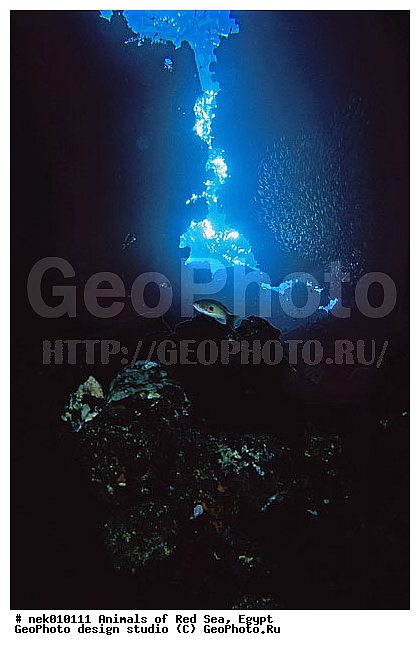 ������� ����, ��������� ���, ���� ��� ����, �����������, ������, ��������, ����, ������, ������, �����, ������, �������, ������, �������, ����� �������, ��������, ��������, ����� ����, ����, ����������, ����������, ����������, �������, ����, �������, ������� �����, �������, �������, ���������, ��������� ����, ���������, �����, ������������, ������������, ���������, ����������, ���������� ��� ����, ���, ���������, ��������� ����������, ���������, ���������, ���������, ��������� ����������, ���������, ��������� �����, ��� �����, ��������, ����������, �������, �������, �������, ����, ��������, ��������, �������, �����������, �����������, �����������