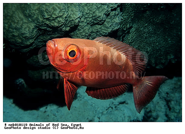 ������� ����, ����� ����, ��������� ���, �����������, ������, ��������, ����, ������, ������, ������, �����, ������, �������, ������, �������, ����� �������, ��������, ��������, ����� ����, ����, ����������, ����������, ����������, �������, ����, �������, ������� �����, �������, �������, ������, ������, ����, ���������, ��������� ����, ���������, �����, ������������, ������������, ���������, ����������, ���������� ��� ����, ���, ���������, ��������� ����������, ���������, ���������, ���������, ��������� ����������, ���������, ��������� �����, ��� �����, ����������, �������, �������, �������, ����, ����, ����, ��������, ��������, �������, �����������, �����������, �����������, ������ ���