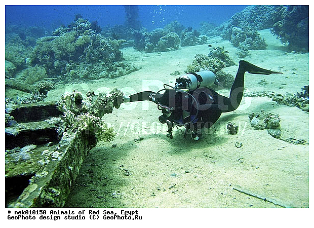 ������� ����, ��������� ���, ���� ��� ����, �����������, ������, ��������, ����, ������, ������, �����, ������, �������, ������, �������, ����� �������, ��������, ��������, ����� ����, ����, ����������, ����������, ����������, �������, ����, �������, ������� �����, �������, �������, ���������, ��������� ����, ���������, �����, ������������, ������������, ���������, ����������, ���������� ��� ����, ���, ���������, ��������� ����������, ���������, ���������, ���������, ��������� ����������, ���������, ��������� �����, ��� �����, ��������, ����������, �������, �������, �������, ����, ��������, ��������, �������, �����������, �����������, �����������