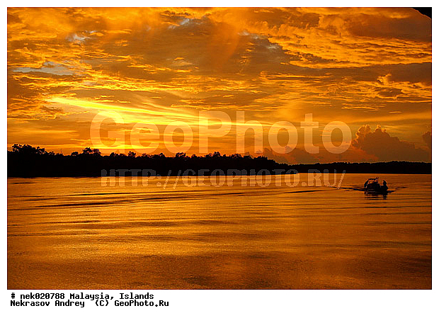 ��������, ������, ����-��������� ����, ���������, ������ ������, ����, ������, ������, ������ ������, �������, �����, �������, �����������, ������, ������, ������ � �����