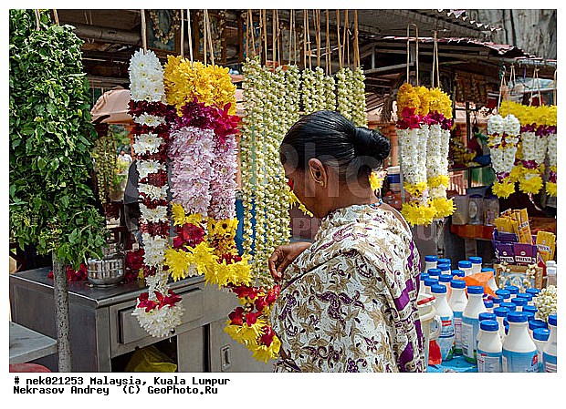 ���������, ����, ������, �����, �������, ������, ����� ������, ������������, ������������, ��������, ������, �, �������, ���������, ���������, ���������, ���������, ������ ������, ��������, ����, ������������, ���������, ����������, ��, �����, ����������, ������, ������, ������, ������, ������, �����, ������, �������, �����������, �������, ������, ������, ��������, �������, �����������, �����������, �����������, �����������, ������ � �����, �������������, �������������, �����, ����, �����