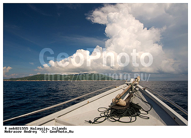 ��������, ����������, ������, ����-��������� ����, ���������, ������ ������, ����, ������, ������, ������ ����������, �������, �����, �������, �����������, ������, ������, ������ � �����