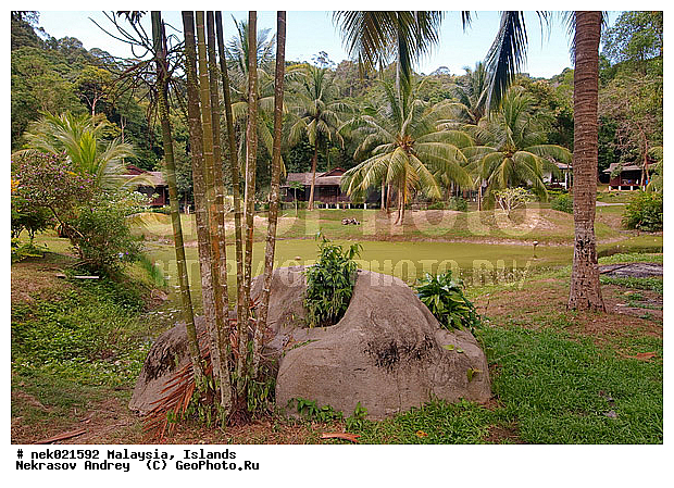 ��������, ����������, ������, ����-��������� ����, ���������, ������ ������, ����, ������, ������, ������ ����������, �������, �����, �������, �����������, ������, ������, ������ � �����