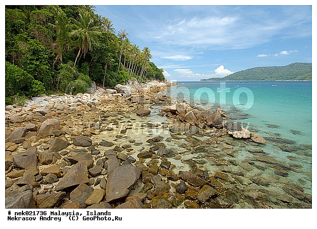 ��������, ����������, ������, ����-��������� ����, ���������, ������ ������, ����, ������, ������, ������ ����������, �������, �����, �������, �����������, ������, ������, ������ � �����