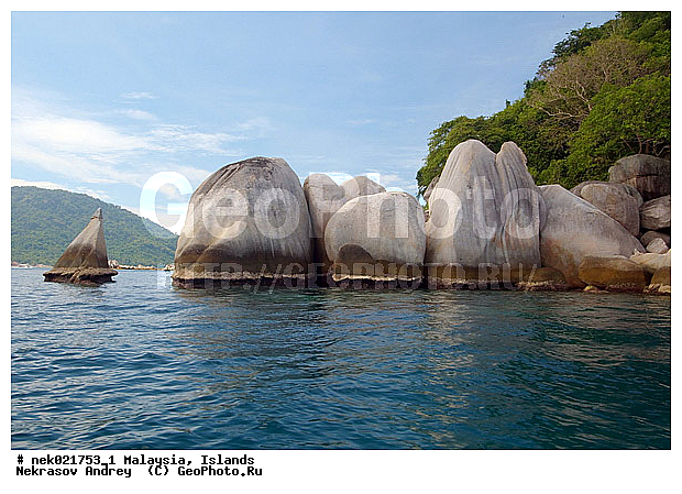 ��������, ����������, ������, ����-��������� ����, ���������, ������ ������, ����, ������, ������, ������ ����������, �������, �����, �������, �����������, ������, ������, ������ � �����