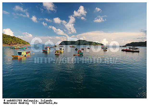 ��������, ������, ����-��������� ����, ���������, ������ ������, ����, ������, ������, ������ ������, �������, �����, �������, �����������, ������, ������, ������ � �����