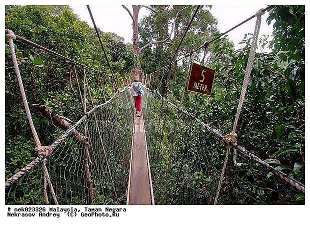 Taman Negara, ��������, ����� ������, ������, ����, ���������, �������, �������, ������ ������, ��������, ����������, ���������� Taman Negara, ���������� ����� ������, ���, ������, �����, ��������� ������, ��������� ����, �������, �����������, ��������������, ����, ������, ������, �������, ����������� ���, ������ � �����