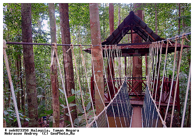 Taman Negara, ��������, ����� ������, ������, ����, ���������, �������, �������, ������ ������, ��������, ����������, ���������� Taman Negara, ���������� ����� ������, ���, ������, �����, ��������� ������, ��������� ����, �������, �����������, ��������������, ����, ������, ������, �������, ����������� ���, ������ � �����