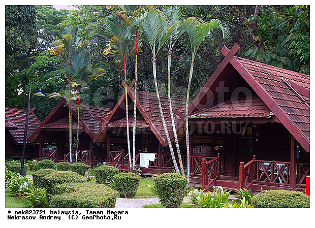 Taman Negara, ��������, ����� ������, ������, ����, ���������, �������, �������, ������ ������, ��������, ����������, ���������� Taman Negara, ���������� ����� ������, ���, ������, �����, �������, �����������, ��������������, ����, ������, ������, �������, ����������� ���, ������ � �����
