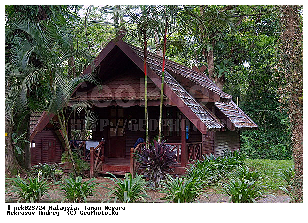 Taman Negara, ��������, ����� ������, ������, ����, ���������, �������, �������, ������ ������, ��������, ����������, ���������� Taman Negara, ���������� ����� ������, ���, ������, �����, �������, �����������, ��������������, ����, ������, ������, �������, ����������� ���, ������ � �����