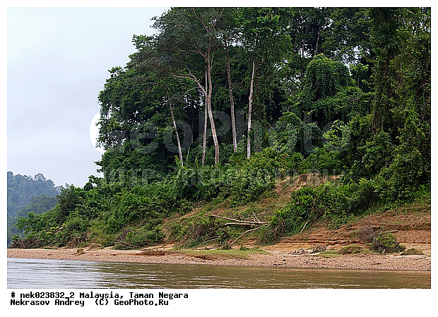Taman Negara, ��������, ����� ������, ������, ����, ���������, �������, ������ ������, ��������, ����������, ���������� Taman Negara, ���������� ����� ������, ������, �����, �������, �����������, ��������������, ����, ������, ������, �������, ����������� ���, ������ � �����