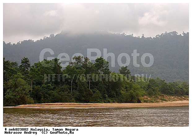 Taman Negara, ��������, ����� ������, ������, ����, ���������, �������, ������ ������, ��������, ����������, ���������� Taman Negara, ���������� ����� ������, ������, �����, �������, �����������, ��������������, ����, ������, ������, �������, ����������� ���, ������ � �����