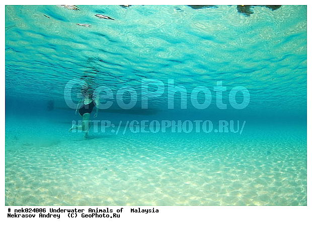 ��������, ����� �� ������ �������� ����, ��������� ���, ����-��������� ����, �����������, ������, ��������, ����, ������, ������, ������, �����, ������, �������, ������, �������, ����� �������, ��������, ��������, ����� ����, ����, ����������, ����������, ����������, �������, ������, �������, ����, ����, �������, ������� �����, �������, �������, ���������, ��������� ����, ���������, �����, ������������, ������������, ���������, �����, �����, �������� �����, �������� ����, ����, �����, ����� ����, ����������, ���������� ��� ����, ���, ���������, ��������� ����������, ���������, ���������, ���������, ��������� ����������, ���������, ��������� �����, ��� �����, ����������, �������, �������, �������, ����, ��������, ��������, �������, �����������, �����������, �����������, ����-��������� ����, ������������� ����, �������������, �������������, Laut China Selatan, ������������� ����, ����� �����, �������������, �������������, �����������