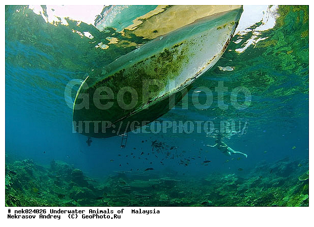 ��������, ��������� ���, ����-��������� ����, �����������, ������, ��������, ����, ������, ������, ������, �����, ������, �������, ������, �������, ����� �������, ��������, ��������, ����� ����, ����, ����������, ����������, ����������, �������, ����, �������, ������� �����, �������, �������, ���������, ��������� ����, ���������, �����, ������������, ������������, ���������, ����������, ���������� ��� ����, ���, ���������, ��������� ����������, ���������, ���������, ���������, ��������� ����������, ���������, ��������� �����, ��� �����, ����������, �������, �������, �������, ����, ��������, ��������, �������, �����������, �����������, �����������, ����-��������� ����, ������������� ����, �������������, �������������, Laut China Selatan, ������������� ����, ����� �����, �������������, �������������, �����������