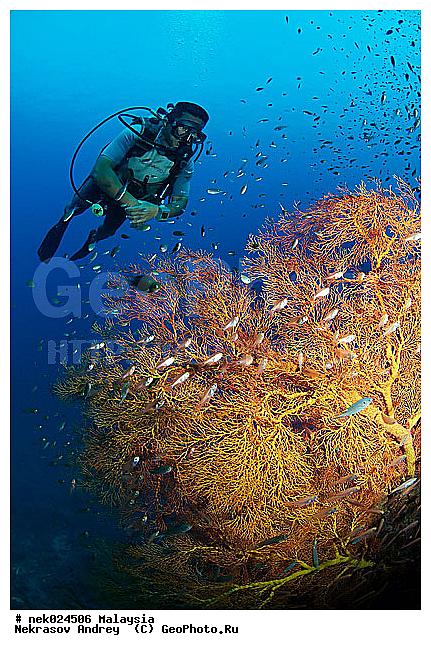 ��������, ��������� ���, ����-��������� ����, �����������, ������, ��������, ����, ������, ������, ������, �����, ������, �������, ������, �������, ����� �������, ��������, ��������, ����� ����, ����, ����������, ����������, ����������, �������, ����, �������, ������� �����, �������, �������, ���������, ��������� ����, ���������, �����, ������������, ������������, ���������, ����������, ���������� ��� ����, ���, ���������, ��������� ����������, ���������, ���������, ���������, ��������� ����������, ���������, ��������� �����, ��� �����, ����������, �������, �������, �������, ����, ����, ����, ��������, ��������, �������, �����������, �����������, �����������, ������� � ��������� ���, ������� � �������, ����-��������� ����, ������������� ����, �������������, �������������, Laut China Selatan, ������������� ����, ����� �����, �������������, �������������, �����������