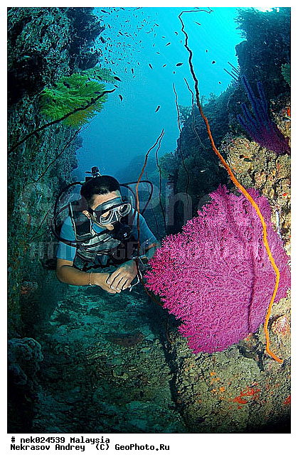 ��������, ��������� ���, ����-��������� ����, �����������, ������, ��������, ����, ������, ������, �����, ������, �������, ������, �������, ����� �������, ��������, ��������, ����� ����, ����, ����������, ����������, ����������, �������, ����, �������, ������� �����, �������, �������, ���������, ��������� ����, ���������, �����, ������������, ������������, ���������, ����������, ���������� ��� ����, ���, ���������, ��������� ����������, ���������, ���������, ���������, ��������� ����������, ���������, ��������� �����, ��� �����, ��������, ����������, �������, �������, �������, ����, ����, ����, ��������, ��������, �������, �����������, �����������, �����������, ������� � ��������� ���, ������� � �������, ����-��������� ����, ������������� ����, �������������, �������������, Laut China Selatan, ������������� ����, ����� �����, �������������, �������������, �����������