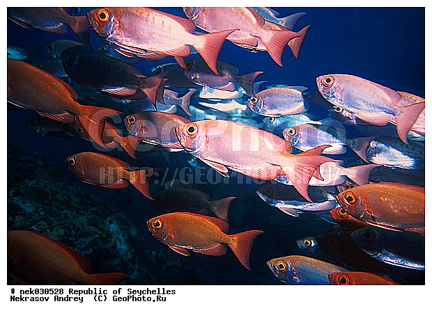 ����� ����, ��������� �����, ��������� ���, ����������� �������, �����������, ������, ��������, ����, ������, ������, ������, �����, ������, �������, ������, �������, ����� �������, ��������, ��������, ����, ����������, ����������, ����������, �������, ����, �������, ������� �����, �������, �������, ���������, ��������� ����, ���������, �����, ������������, ������������, ���������, ������, �������, ����������, ���������� ��� ����, ���, ���������, ��������� ����������, ���������, ���������, ���������, ��������� ����������, ���������, ��������� �����, ��� �����, ����������, �������, �������, �������, ����, ����, ����, �������, ��������, ��������, �������, �����������, �����������, �����������, ����� ����, �����������, �����������, ���������, �����������