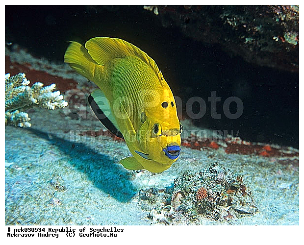 ����� ����, ��������� �����, ��������� ���, ����������� �������, �����������, ������, ��������, ����, ������, ������, ������, �����, ������, �������, ������, �������, ����� �������, ��������, ��������, ����, ����������, ����������, ����������, �������, ����, �������, ������� �����, �������, �������, ���������, ��������� ����, ���������, �����, ������������, ������������, ���������, ������, �������, ����������, ���������� ��� ����, ���, ���������, ��������� ����������, ���������, ���������, ���������, ��������� ����������, ���������, ��������� �����, ��� �����, ����������, �������, �������, �������, ����, ����, ����, �������, ��������, ��������, �������, �����������, �����������, �����������, ����� ����, �����������, �����������, ���������, �����������