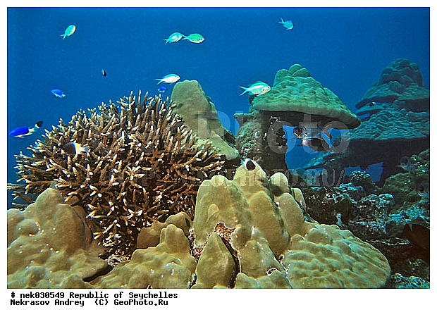 ����� ����, ��������� �����, ��������� ���, ����������� �������, �����������, ������, ��������, ����, ������, ������, ������, �����, ������, �������, ������, �������, ����� �������, ��������, ��������, ����, ����������, ����������, ����������, �������, ����, �������, ������� �����, �������, �������, ���������, ��������� ����, ���������, �����, ������������, ������������, ���������, ������, �������, ����������, ���������� ��� ����, ���, ���������, ��������� ����������, ���������, ���������, ���������, ��������� ����������, ���������, ��������� �����, ��� �����, ����������, �������, �������, �������, ����, ����, ����, �������, ��������, ��������, �������, �����������, �����������, �����������, ����� ����, �����������, �����������, ���������, �����������