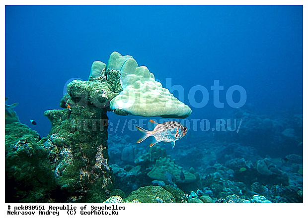 ����� ����, ��������� �����, ��������� ���, ����������� �������, �����������, ������, ��������, ����, ������, ������, ������, �����, ������, �������, ������, �������, ����� �������, ��������, ��������, ����, ����������, ����������, ����������, �������, ����, �������, ������� �����, �������, �������, ���������, ��������� ����, ���������, �����, ������������, ������������, ���������, ������, �������, ����������, ���������� ��� ����, ���, ���������, ��������� ����������, ���������, ���������, ���������, ��������� ����������, ���������, ��������� �����, ��� �����, ����������, �������, �������, �������, ����, ����, ����, �������, ��������, ��������, �������, �����������, �����������, �����������, ����� ����, �����������, �����������, ���������, �����������