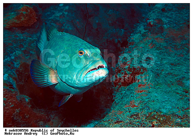 ����� ����, ��������� �����, ��������� ���, ����������� �������, �����������, ������, ��������, ����, ������, ������, �����, ������, �������, ������, �������, ����� �������, ��������, ��������, ����, ����������, ����������, ����������, �������, ����, �������, ������� �����, �������, �������, ���������, ��������� ����, ���������, �����, ������������, ������������, ���������, ������, �������, ����������, ���������� ��� ����, ���, ���������, ��������� ����������, ���������, ���������, ���������, ��������� ����������, ���������, ��������� �����, ��� �����, ��������, ����������, �������, �������, �������, ����, ����, ����, �������, ��������, ��������, �������, �����������, �����������, �����������, ����� ����, �����������, �����������, ���������, �����������