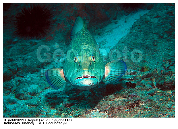 ����� ����, ��������� �����, ��������� ���, ����������� �������, �����������, ������, ��������, ����, ������, ������, �����, ������, �������, ������, �������, ����� �������, ��������, ��������, ����, ����������, ����������, ����������, �������, ����, �������, ������� �����, �������, �������, ���������, ��������� ����, ���������, �����, ������������, ������������, ���������, ������, �������, ����������, ���������� ��� ����, ���, ���������, ��������� ����������, ���������, ���������, ���������, ��������� ����������, ���������, ��������� �����, ��� �����, ��������, ����������, �������, �������, �������, ����, ����, ����, �������, ��������, ��������, �������, �����������, �����������, �����������, ����� ����, �����������, �����������, ���������, �����������