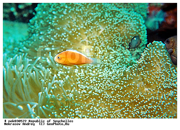 ����� ����, ��������� �����, ����, ��������� ���, ����������� �������, �����������, ������, ��������, ����, ������, ������, ������, �����, ������, �������, ������, �������, ����� �������, ��������, ��������, ����, �����, ������, ����������, ����������, ����������, �������, ����, �������, ������� �����, �������, �������, ���������, ��������� ����, ���������, �����, ������������, ������������, ���������, ������, �������, ����������, ���������� ��� ����, ���, ���������, ��������� ����������, ���������, ���������, ���������, ��������� ����������, ���������, ��������� �����, ��� �����, ����������, �������, �������, �������, ����, ����, ����-�����, ����, ����-������, �������, ��������, ��������, �������, �����������, �����������, �����������, �������, �������, ������, �������, ����� ����, �����������, �����������, ���������, �����������, ����-�����, ���� �����, ����-�����, ���� �����