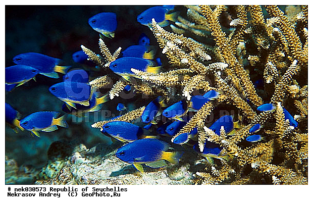 ����� ����, ��������� �����, ��������� ���, ����������� �������, �����������, ������, ��������, ����, ������, ������, ������, �����, ������, �������, ������, �������, ����� �������, ��������, ��������, ����, ����������, ����������, ����������, �������, �����, ����� ���, ����, �������, ������� �����, �������, �������, ���������, ��������� ����, ���������, �����, ������������, ������������, ���������, ������, �������, ����������, ���������� ��� ����, ���, ���������, ��������� ����������, ���������, ���������, ���������, ��������� ����������, ���������, ��������� �����, ��� �����, ����������, �������, �������, �������, ����, ����, ����, �������, ����, ����, ���� ���, ��������, ��������, �������, �����������, �����������, �����������, ����� ����, �����������, �����������, ���������, �����������