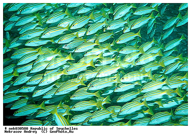 ����� ����, ��������� �����, ��������� ���, ����������� �������, �����������, ������, ��������, ����, ������, ������, ������, �����, ������, �������, ������, �������, ����� �������, ��������, ��������, ����, ����������, ����������, ����������, �������, �����, ����� ���, ����, �������, ������� �����, �������, �������, ���������, ��������� ����, ���������, �����, ������������, ������������, ���������, ������, �������, ����������, ���������� ��� ����, ���, ���������, ��������� ����������, ���������, ���������, ���������, ��������� ����������, ���������, ��������� �����, ��� �����, ����������, �������, �������, �������, ����, ����, ����, �������, ����, ����, ���� ���, ��������, ��������, �������, �����������, �����������, �����������, ����� ����, �����������, �����������, ���������, �����������