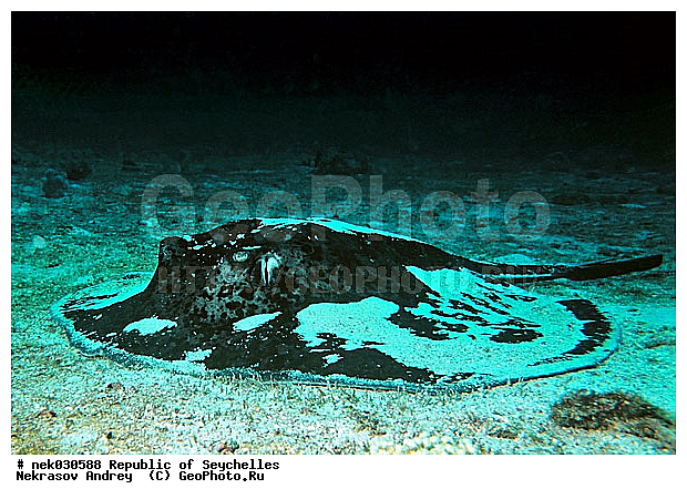 ����� ����, ��������� �����, ��������� ���, ����������� �������, �����������, ������, ��������, ����, ������, ������, ������, �����, ������, �������, ������, �������, ����� �������, ��������, ��������, ����, ����������, ����������, ����������, �������, ����, �������, ������� �����, �������, �������, ���������, ��������� ����, ���������, �����, ������������, ������������, ���������, ������, �������, ����������, ���������� ��� ����, ���, ���������, ��������� ����������, ���������, ���������, ���������, ��������� ����������, ���������, ��������� �����, ��� �����, ����������, �������, �������, �������, ����, ����, ����, �������, �����, ��������, ��������, �������, �����������, �����������, �����������, ��������, ����� ����, �����������, �����������, ���������, �����������